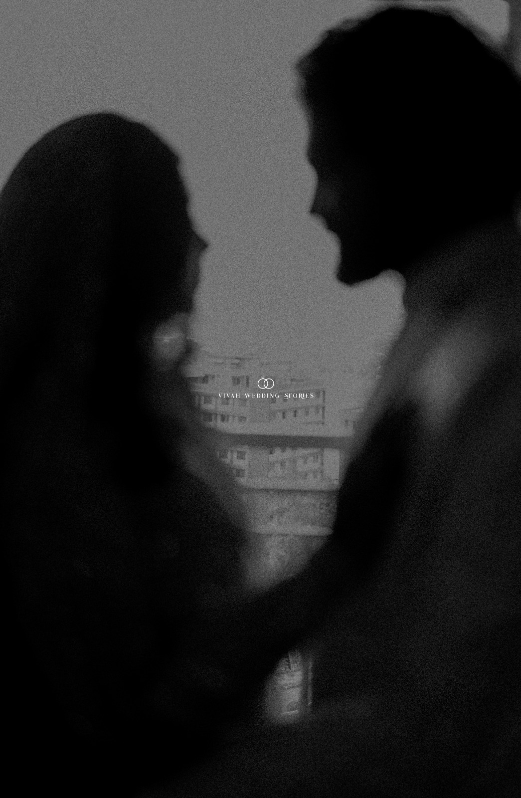 a forest after an apocalypse